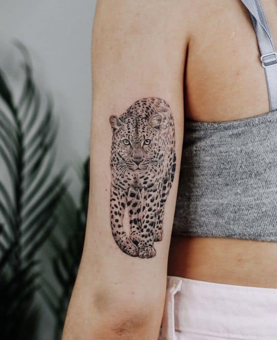 14 tatuagem de onca feminina no braco Pinterest