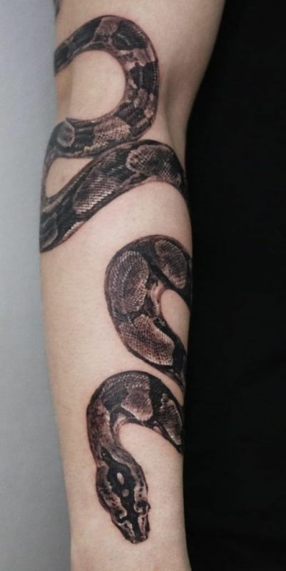 18 tatuagem de cobra grande no braco Pinterest