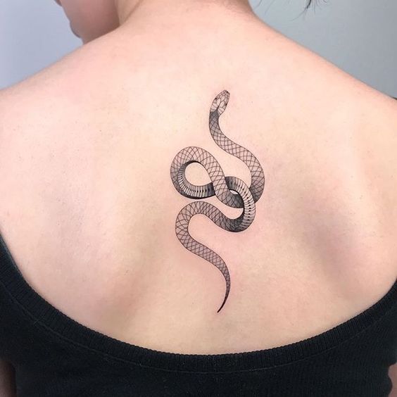 20 tatuagem feminina de cobra nas costas Pinterest