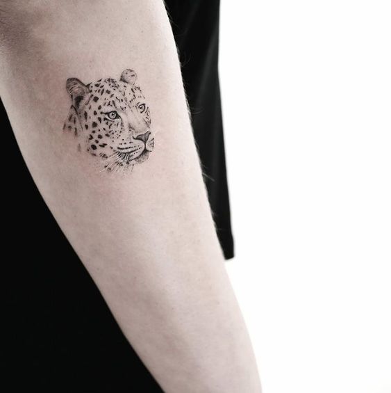 31 tatuagem delicada de onca Pinterest
