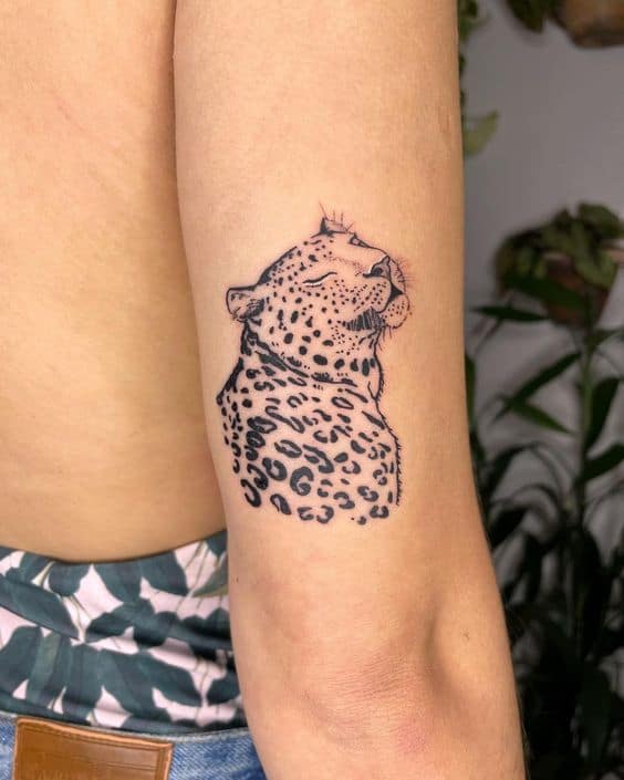 33 tatuagem feminina e delicada de onca Pinterest