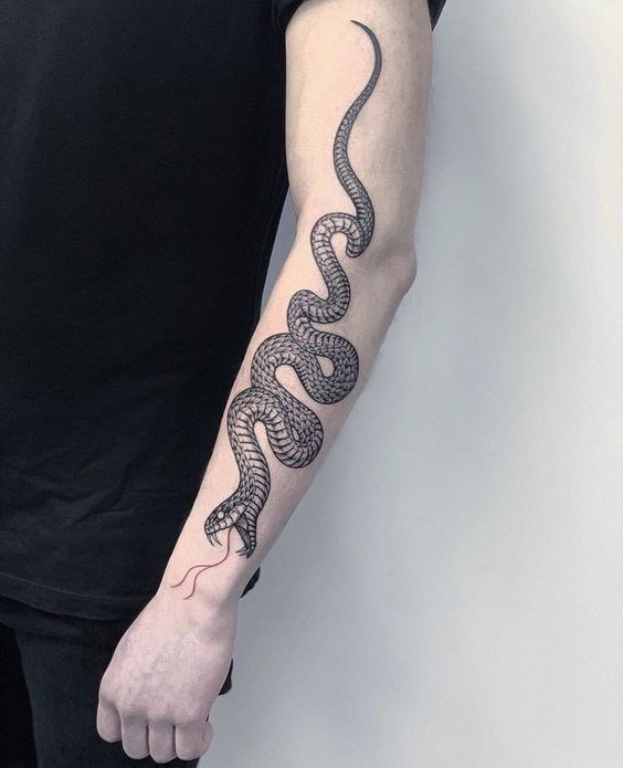 9 tatuagem masculina de cobra no braco Pinterest