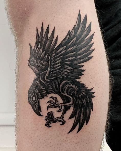 modelo de tatuagem de corvo
