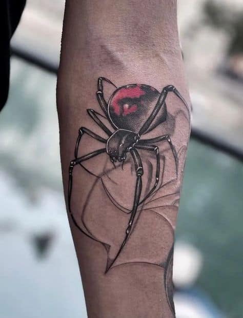 tatuagem de aranha 3D