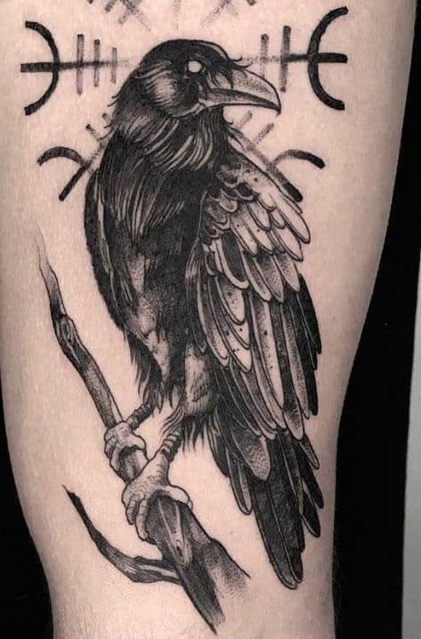 tatuagem de corvo braco