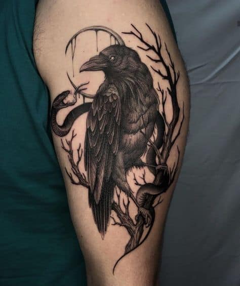 tatuagem de corvo linda
