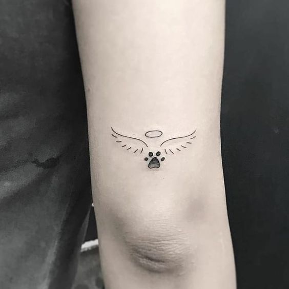 56 tatuagem delicada luto pet Pinterest