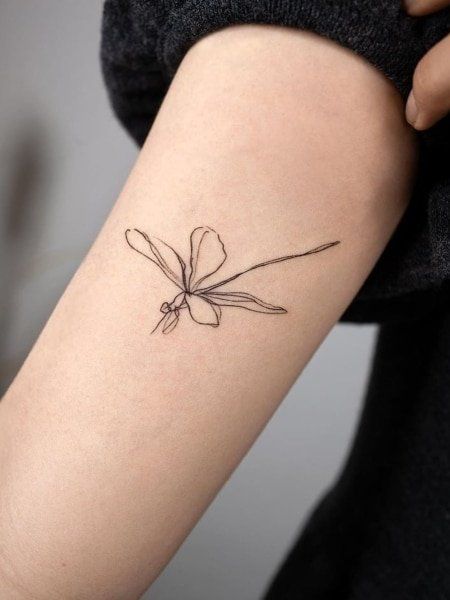 1 tatuagem minimalista e delicada de libélula Pinterest