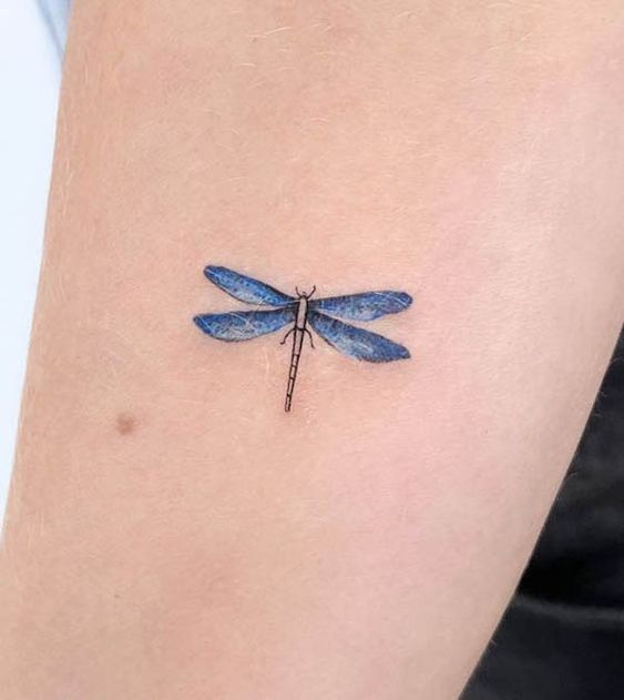 12 tatuagem de libélula azul Pinterest