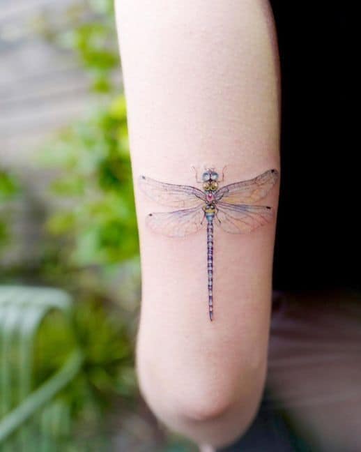 31 tattoo delicada de libélula no braço Pinterest