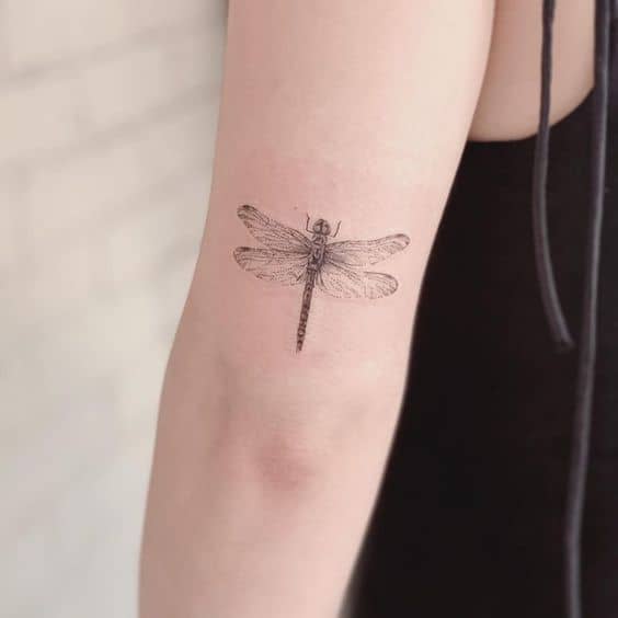 32 tatuagem delicada de libélula no braço Pinterest