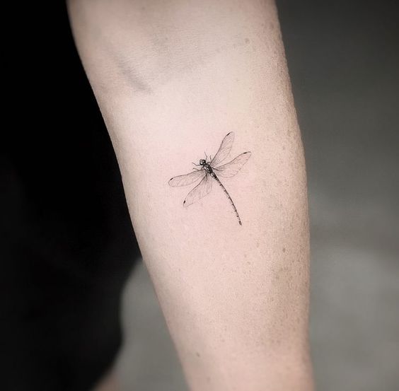 35 tattoo pequena de libélula no braço Pinterest