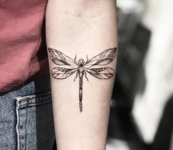 40 tattoo de libélula no braço Pinterest