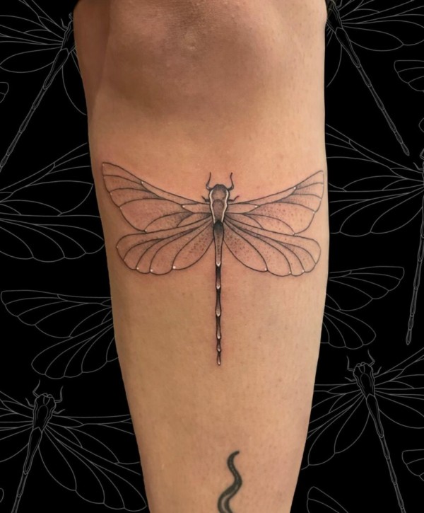 47 tattoo libélula perna 91 Tattoos