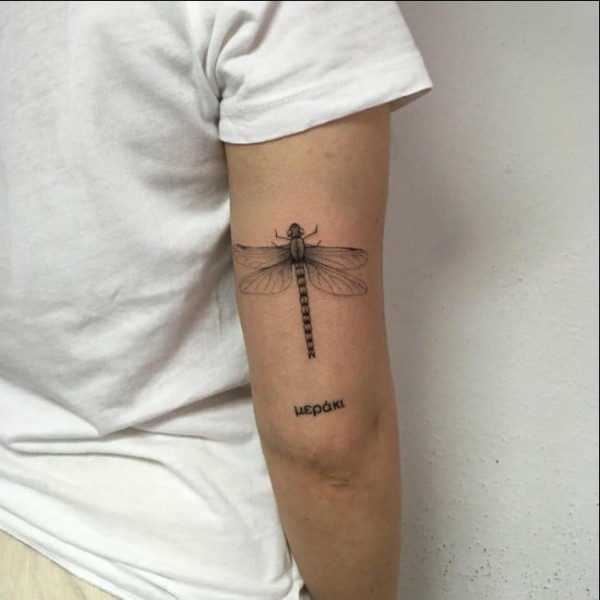 58 tattoo libélula Tattoosme