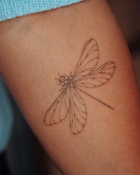 6 tattoo delicada e minimalista de libélula Pinterest