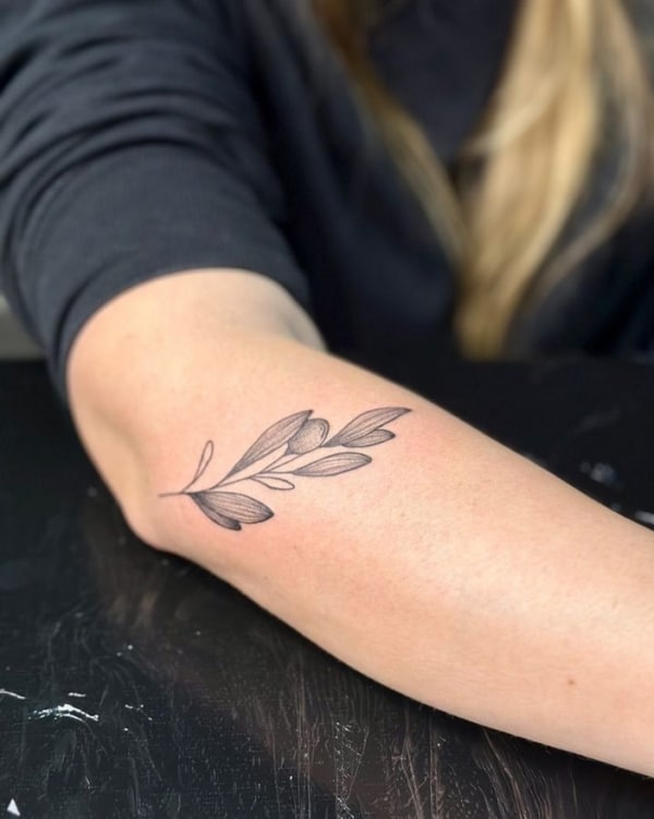 12 tatuagem de ramo de oliveira @kaygianninitattoo