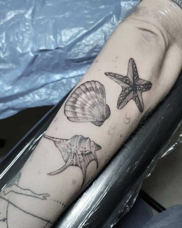 35 tatuagens conchas e estrela do mar Pinterest