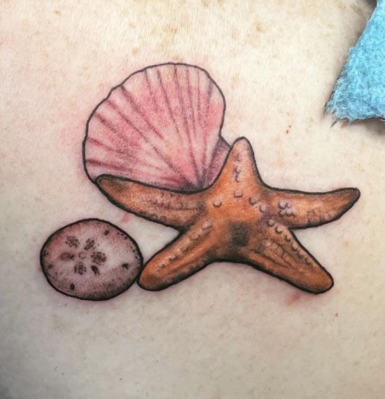 36 tattoo concha e estrela do mar Pinterest