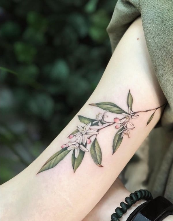 36 tattoo delicada e feminina de ramo no braço @sashavorb tattoo