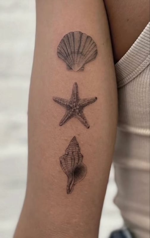 37 tatuagem conchas e estrela do mar Pinterest