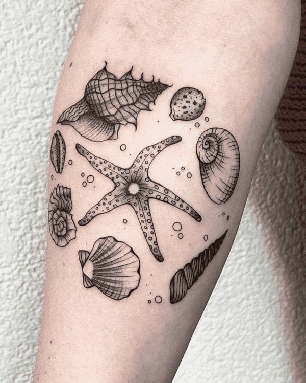 39 tatuagem estrela do mar e conchas Pinterest