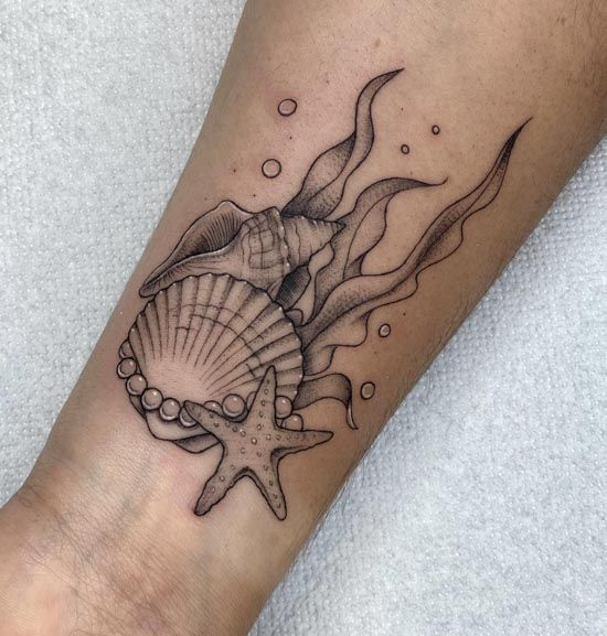 40 tattoo concha e estrela do mar Pinterest