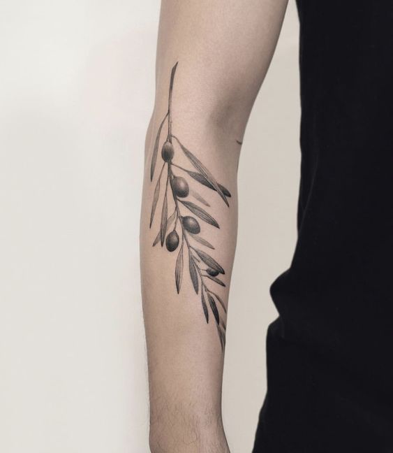 42 tatuagem masculina de ramo de oliveira no braço Pinterest
