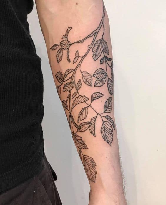 43 tatuagem masculina de ramos de folhas Pinterest