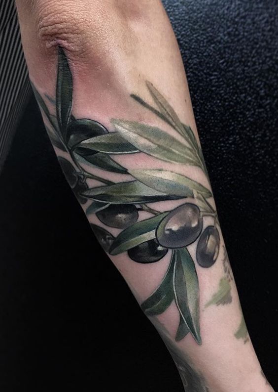 47 tattoo de ramo colorido de oliveira Pinterest