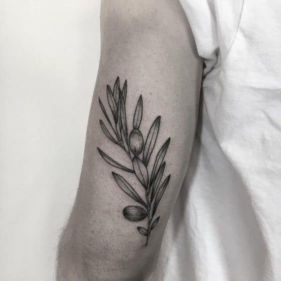48 tatuagem masculina ramo de oliveira Pinterest
