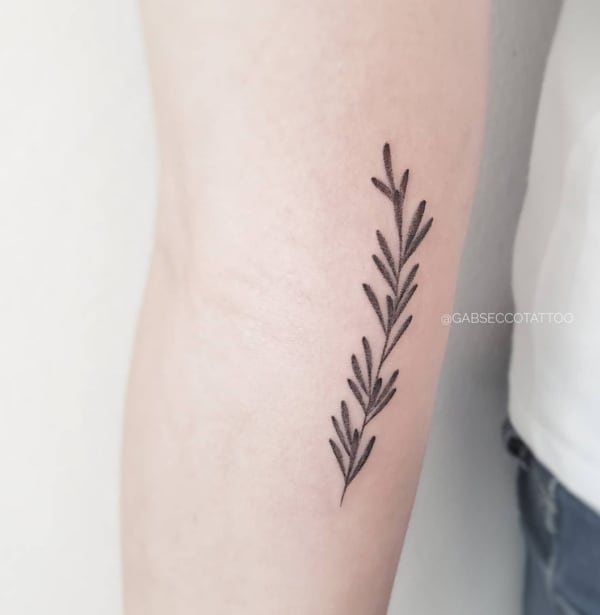 5 tatuagem delicada de ramo de alecrim @gabseccotattoo