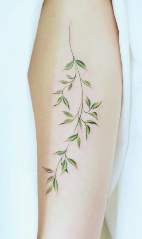 6 tatuagem delicada de ramo verde no braço Pinterest