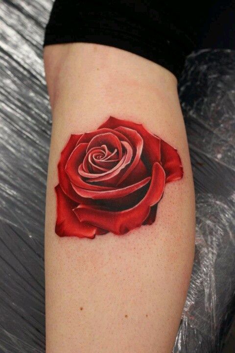 10 tattoo de rosa vermelha na perna Pinterest
