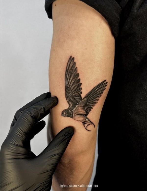 12 tatuagem no braço andorinha @cassianovalimtattoo