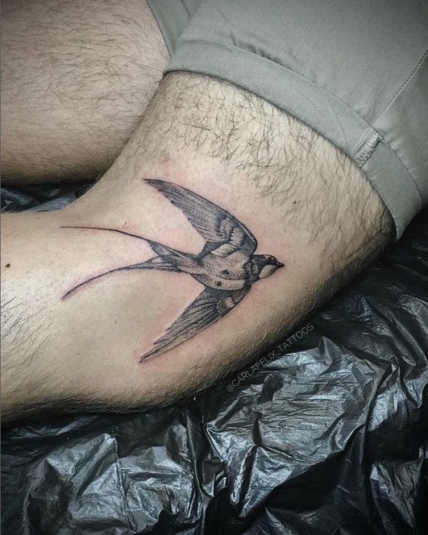 35 tatuagem masculina andorinha @carlafelix tattoos