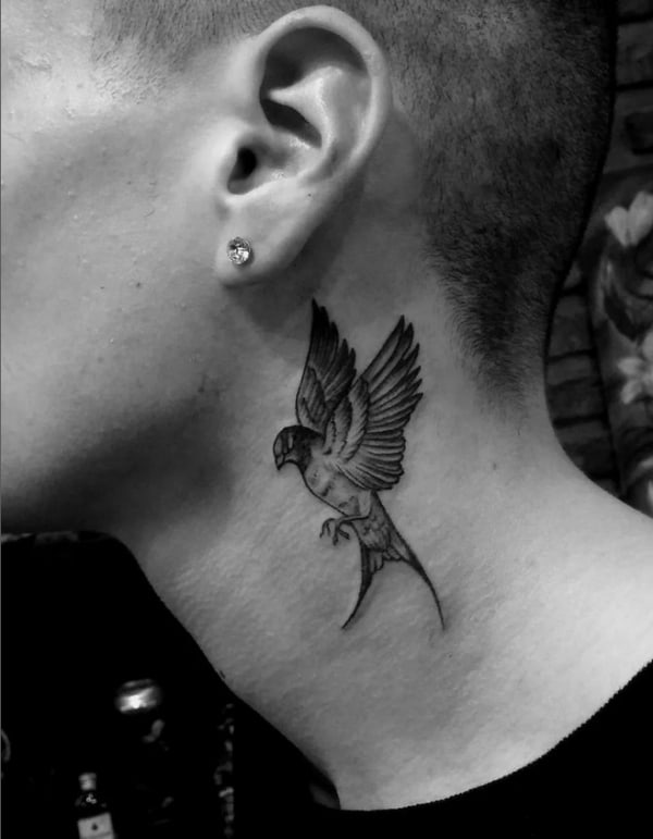 8 tatuagem andorinha pescoço @matiasespinosatattoo