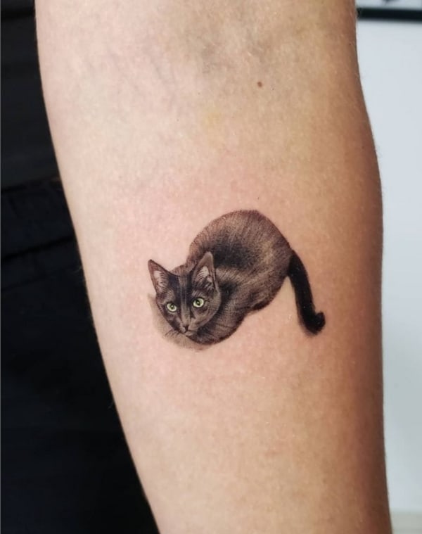 16 tatuagem no braço gato preto @umanarizinho