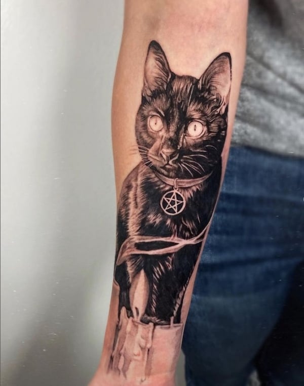 17 tatuagem grande de gato preto no braço @barythaya