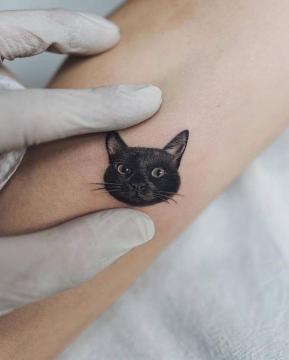 5 tatuagem delicada gato preto Pinterest