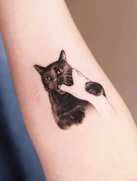 6 tatuagem feminina gato preto Pinterest